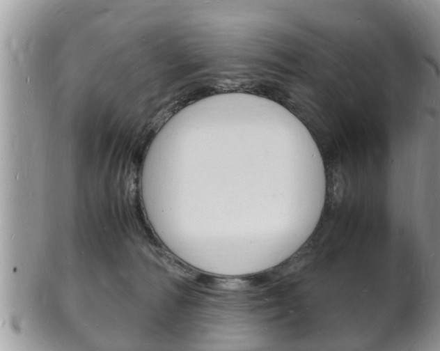 X0000102780226200808180939