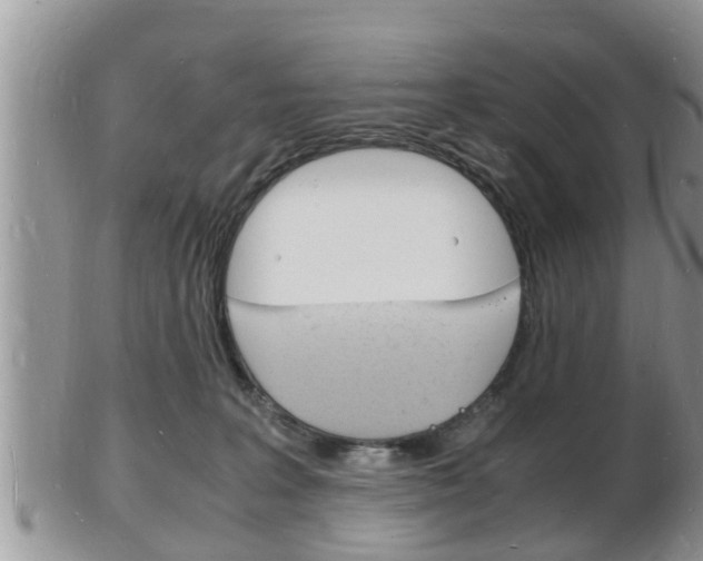 X0000102780227200808180939