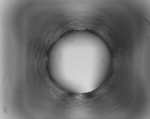 X0000102780229200808180939