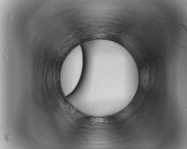 X0000102780230200808180939