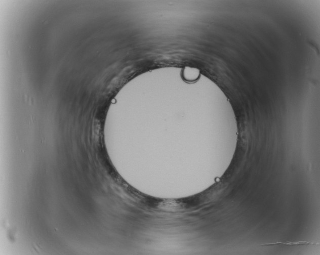 X0000102780231200808180939