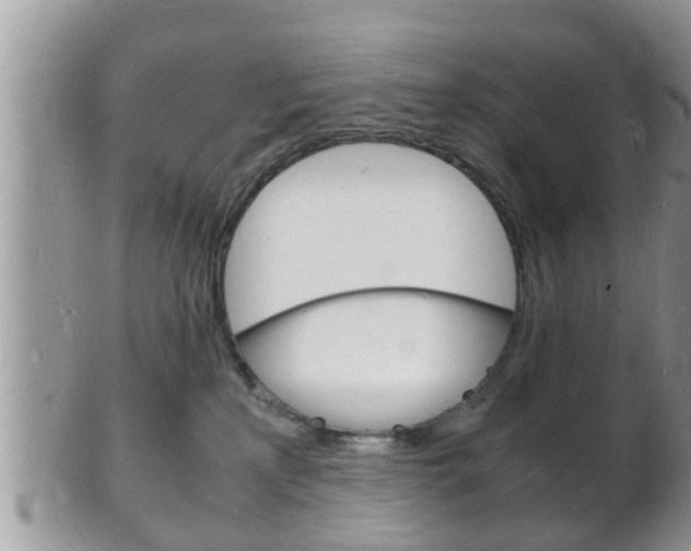 X0000102780233200808180938