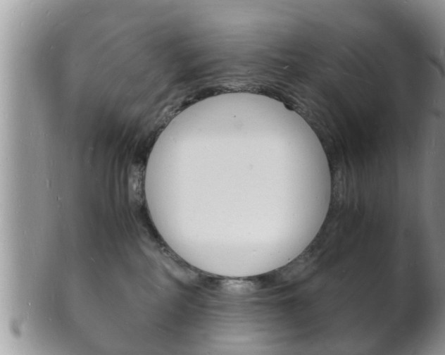 X0000102780234200808180938