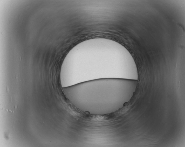 X0000102780235200808180938