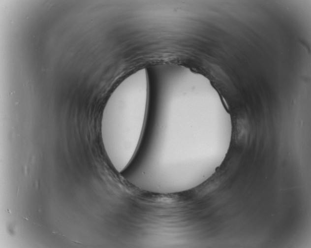 X0000102780236200808180938