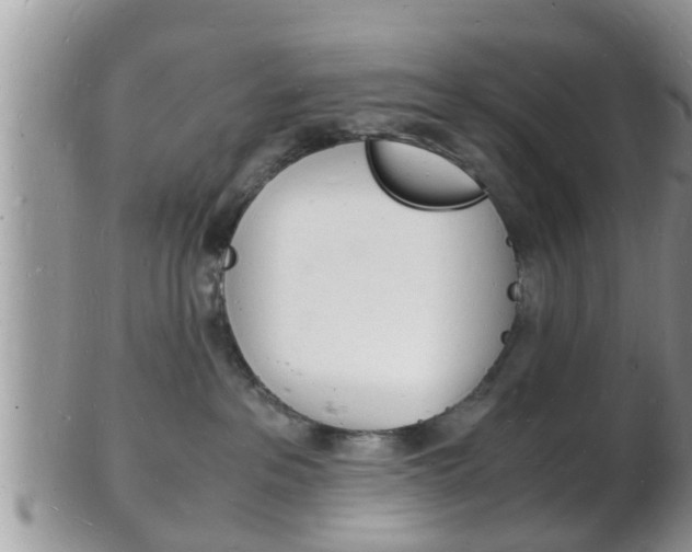 X0000102780237200808180938