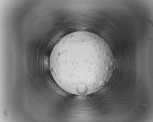 X0000102780238200808180938