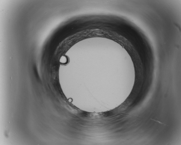 X0000102780239200808180938