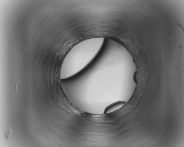 X0000102780240200808180938