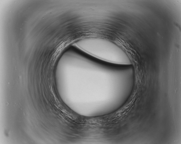 X0000102780241200808180937