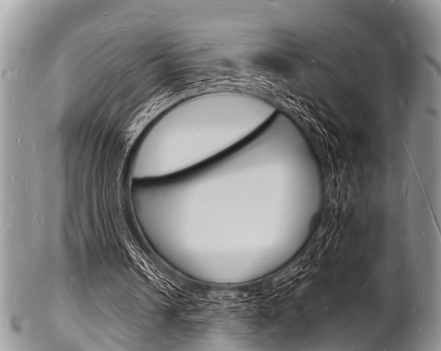 X0000102780242200808180937