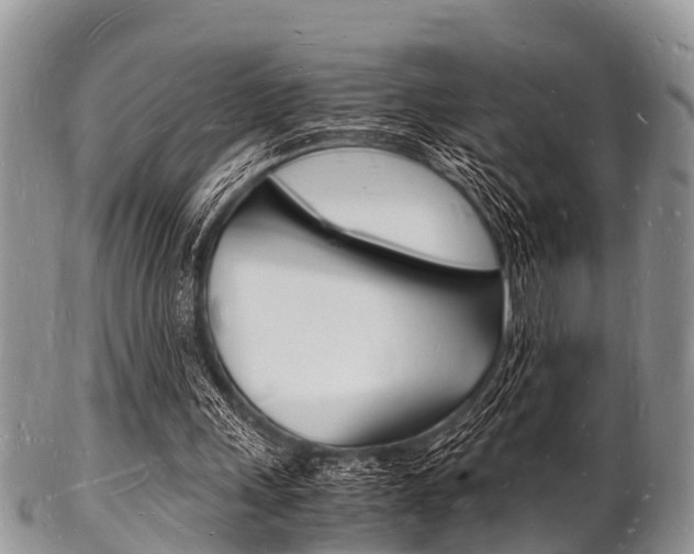 X0000102780243200808180937