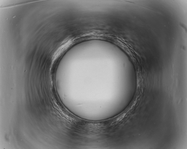 X0000102780245200808180937