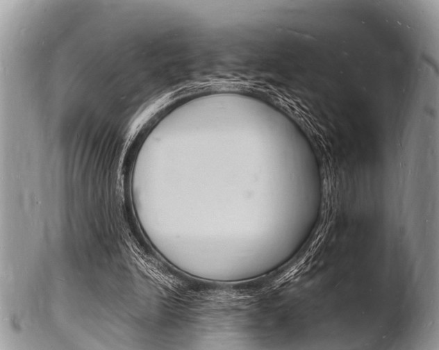 X0000102780246200808180937