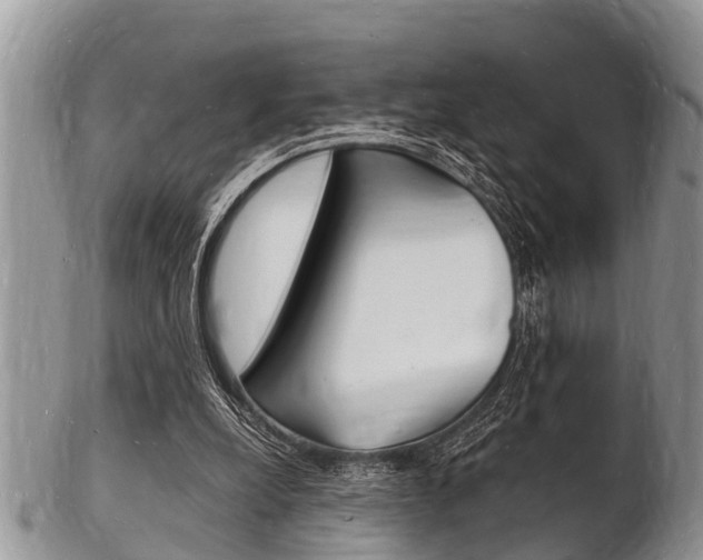 X0000102780248200808180937