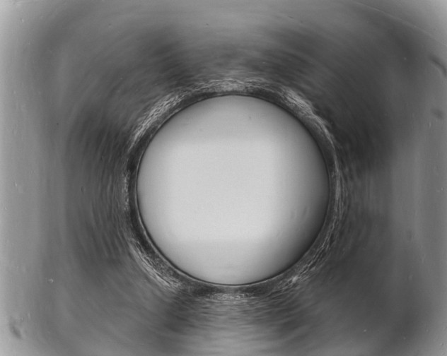 X0000102780250200808180938