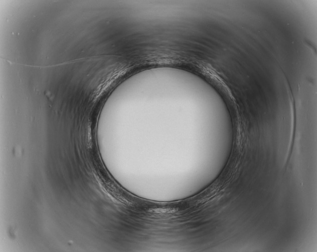 X0000102780251200808180938