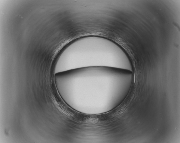 X0000102780252200808180938