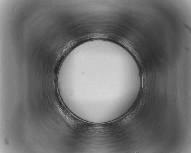 X0000102780253200808180938