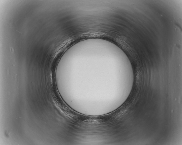 X0000102780254200808180938