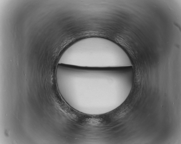 X0000102780255200808180938