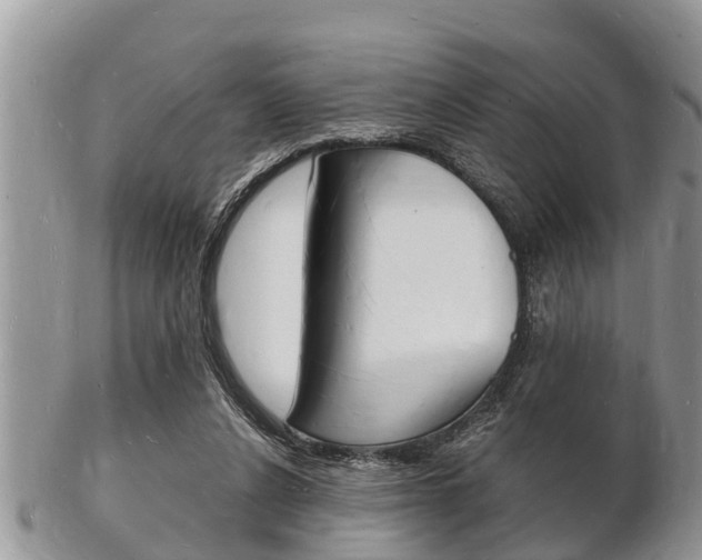 X0000102780256200808180938