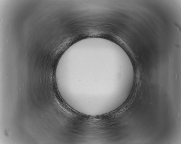 X0000102780257200808180938