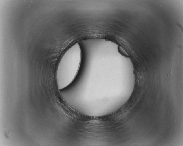 X0000102780259200808180938