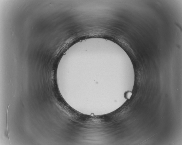 X0000102780260200808180938