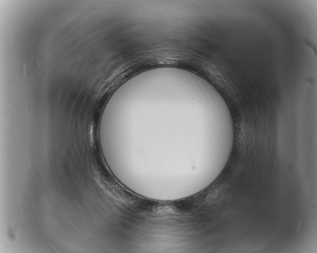 X0000102780262200808180938