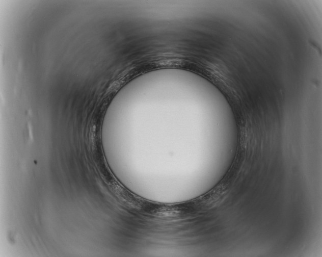 X0000102780263200808180938