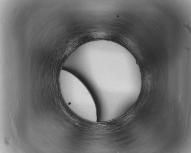 X0000102780265200808180938