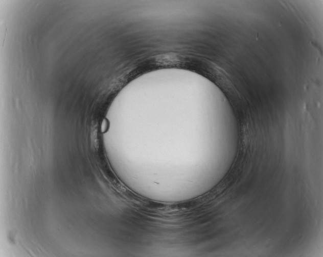 X0000102780267200808180938