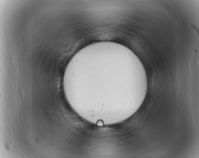 X0000102780268200808180938