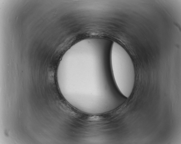 X0000102780269200808180938