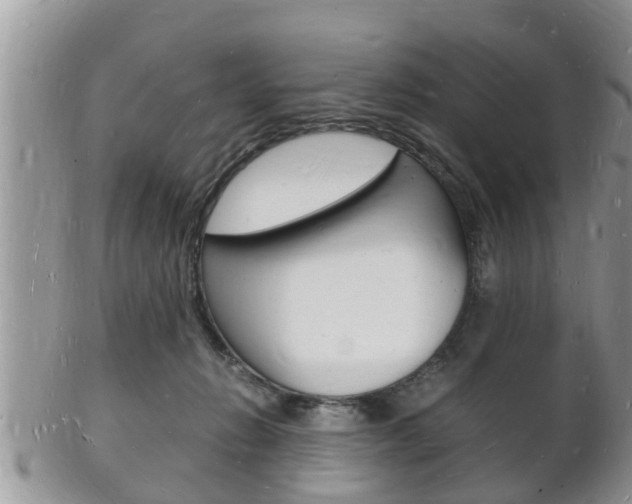 X0000102780270200808180938