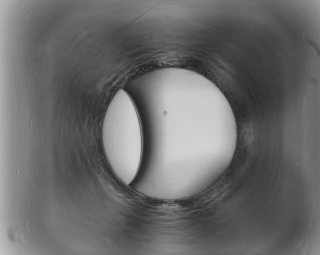 X0000102780271200808180938