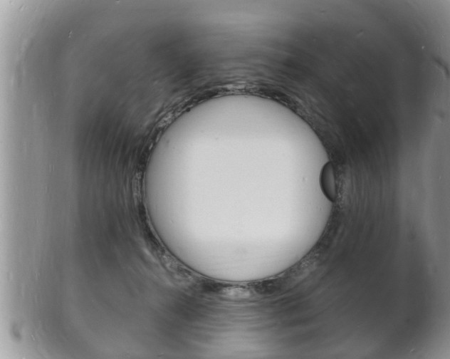 X0000102780272200808180938