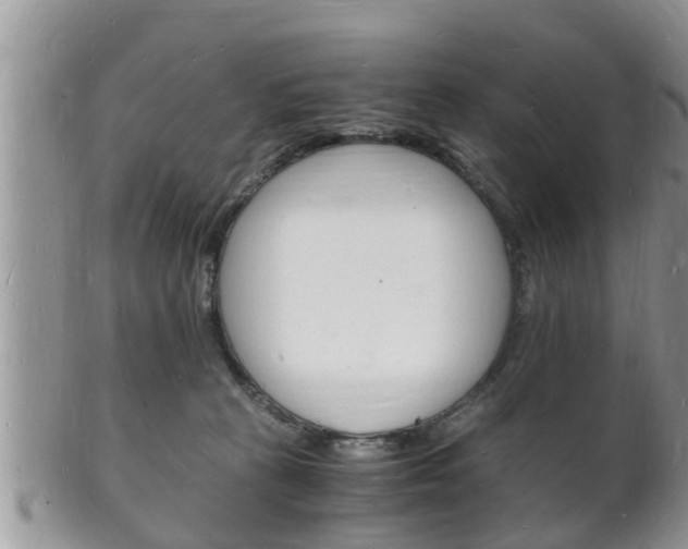 X0000102780273200808180938