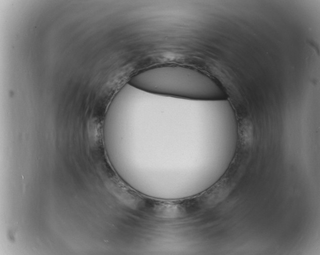 X0000102780276200808180938