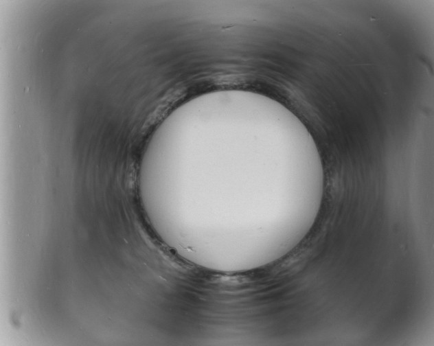 X0000102780277200808180938