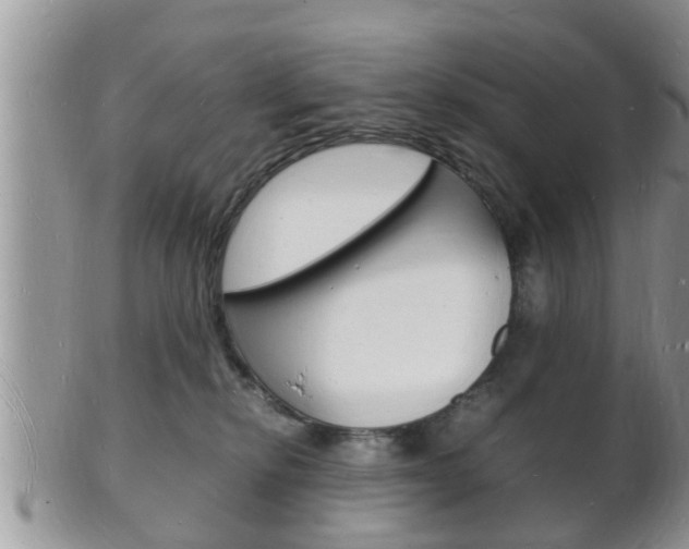 X0000102780278200808180938