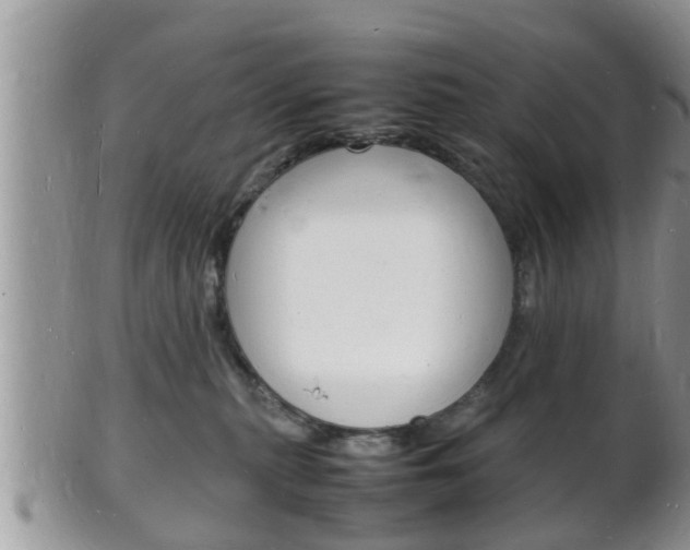 X0000102780279200808180938