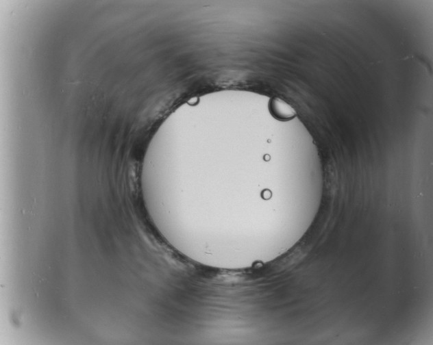 X0000102780280200808180938