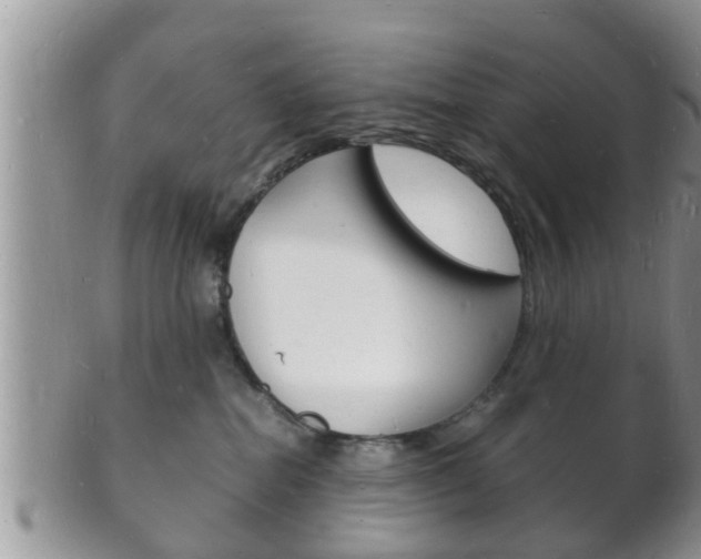 X0000102780282200808180938