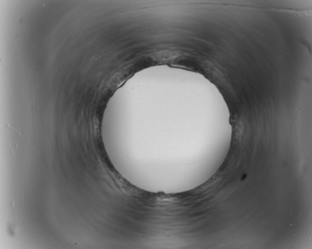 X0000102780283200808180938