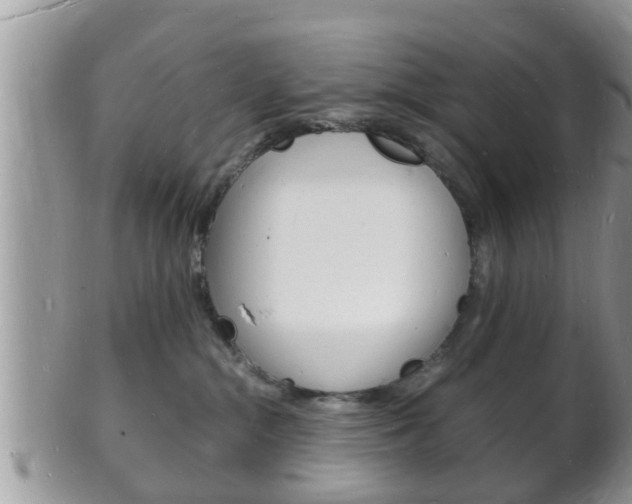 X0000102780284200808180938