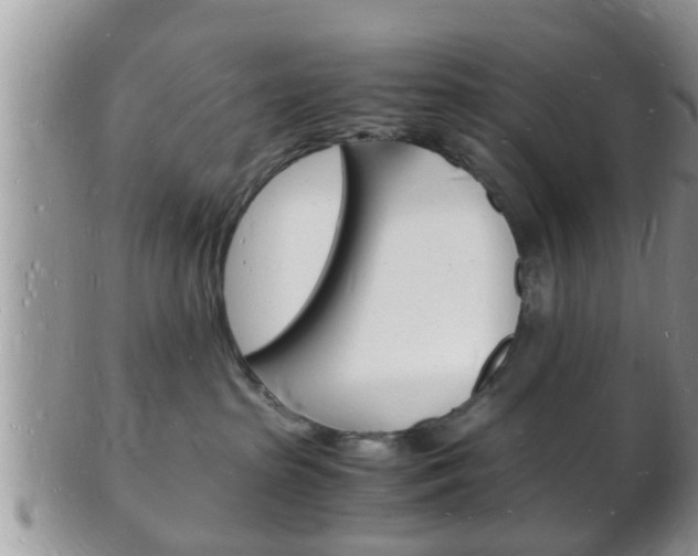 X0000102780285200808180938