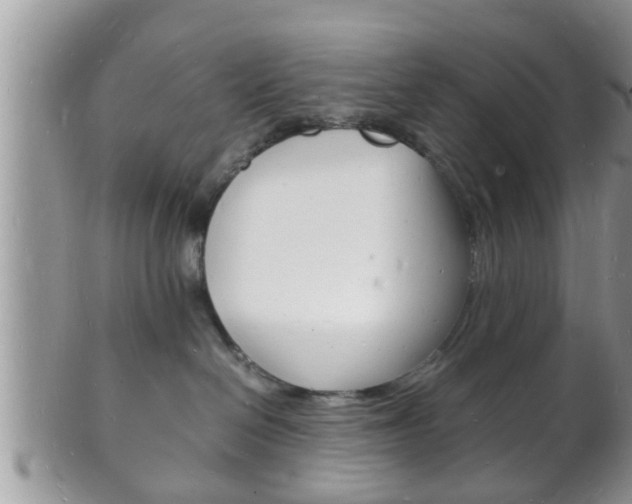 X0000102780286200808180938