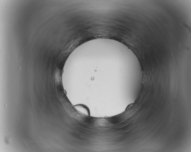 X0000102780287200808180938